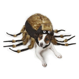 Zack & Zoey&reg; Tarantula Dog Costume - Aaria Tees Aaria Tees